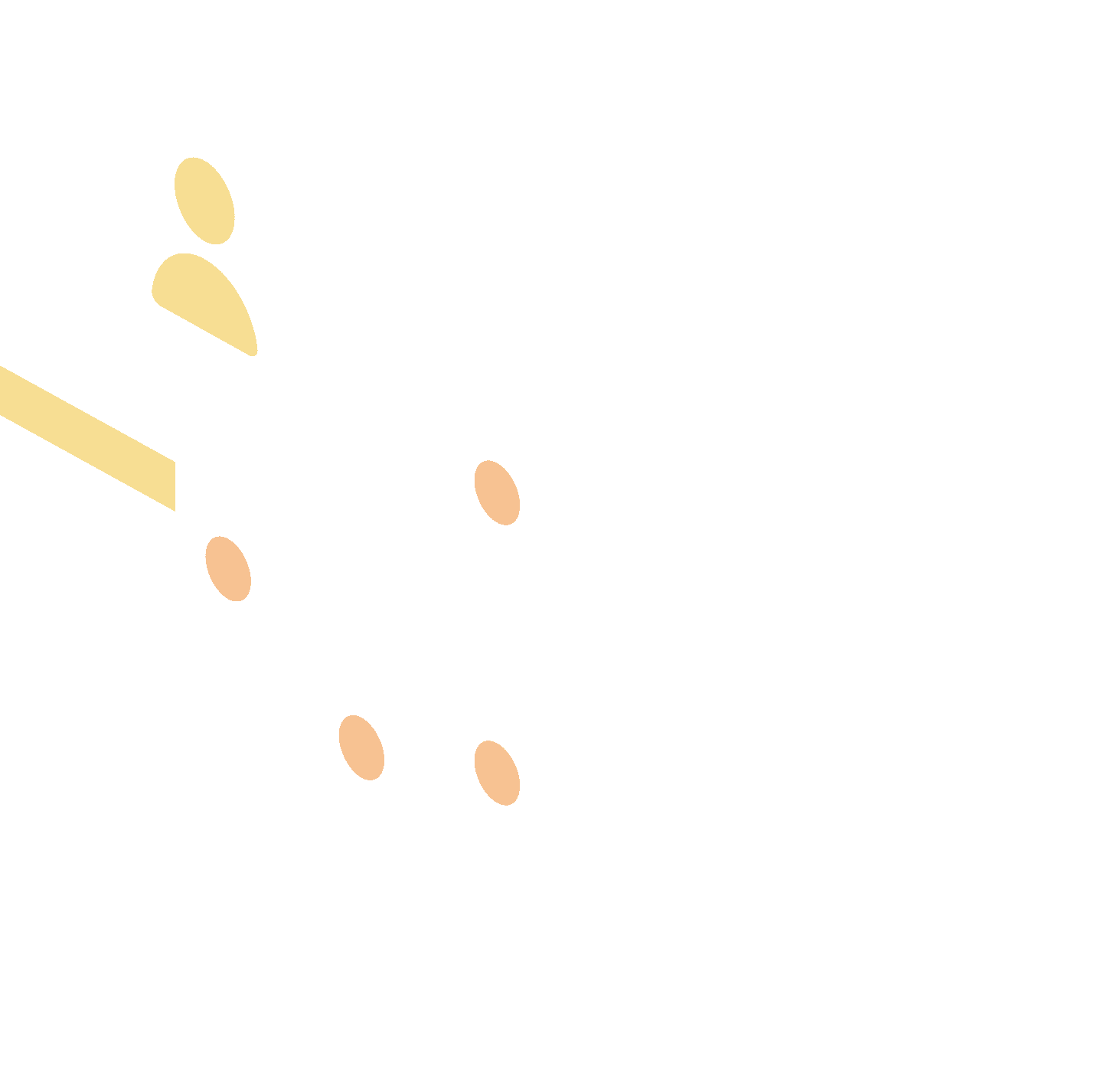 VPS Illustration